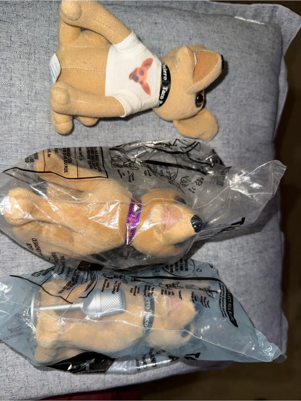 Taco Bell chihuahua